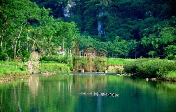 Cuc Phuong National Park