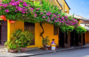 Hoi An