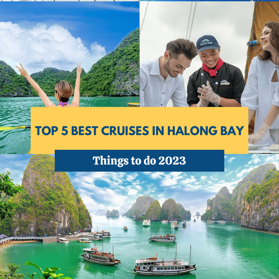 Best cruises in halong bay