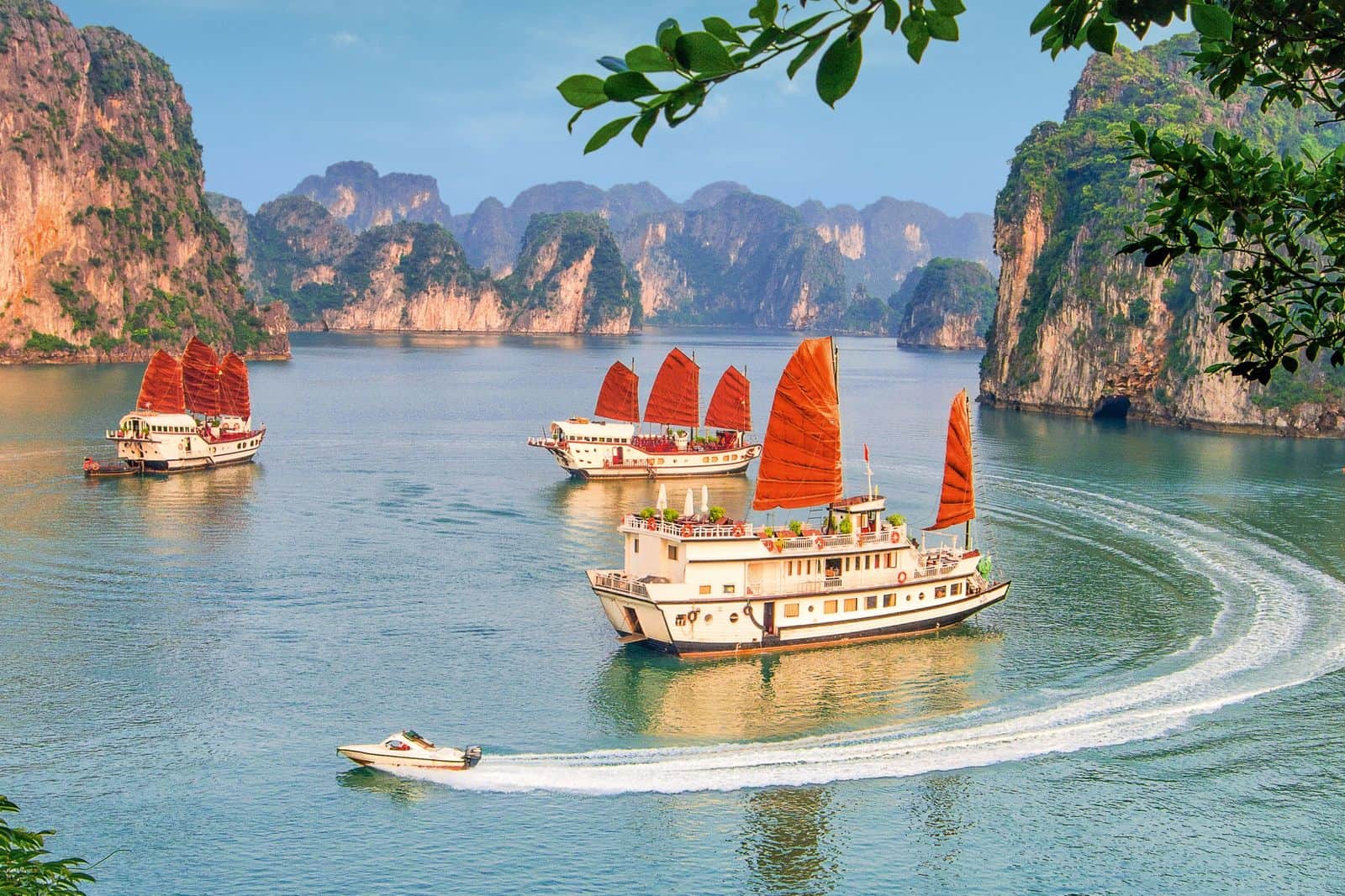 Best cruises in halong bay 