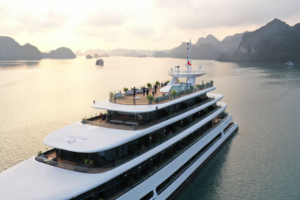 Best cruises in halong bay 