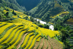 ideal time to visit sapa: sapa in autumn 