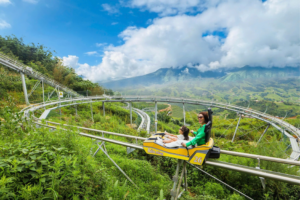 where is the alpine coaster in sapa