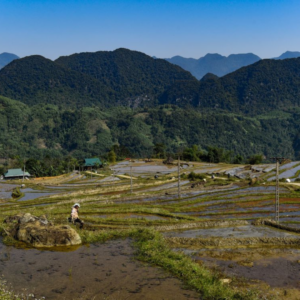 visit vietnam in July, make sure to visit Pu Luong to see farmers working on the fields