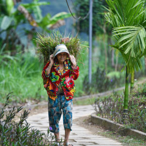 local ethnic Thai people