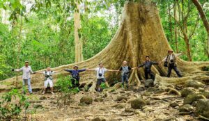 Cat Tien natural park remains as one of the hidden gems in northern vietnam