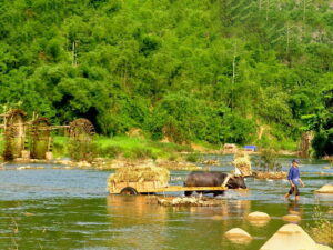 Bamboo waterwheels is one of top things to do in pu luong