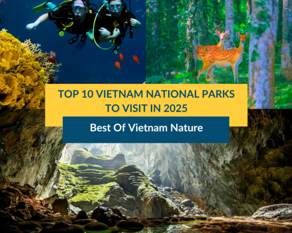 top 10 vietnam national park