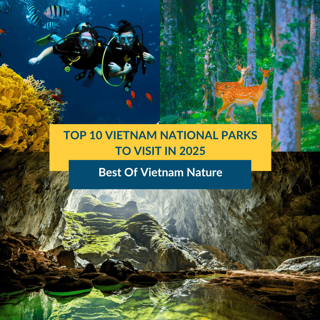 top 10 vietnam national park