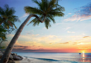 Vietnam Summer Travel