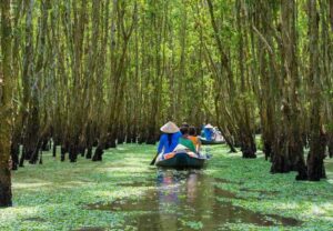 mekong delta