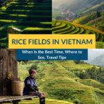 where to see rice fields in vietnam