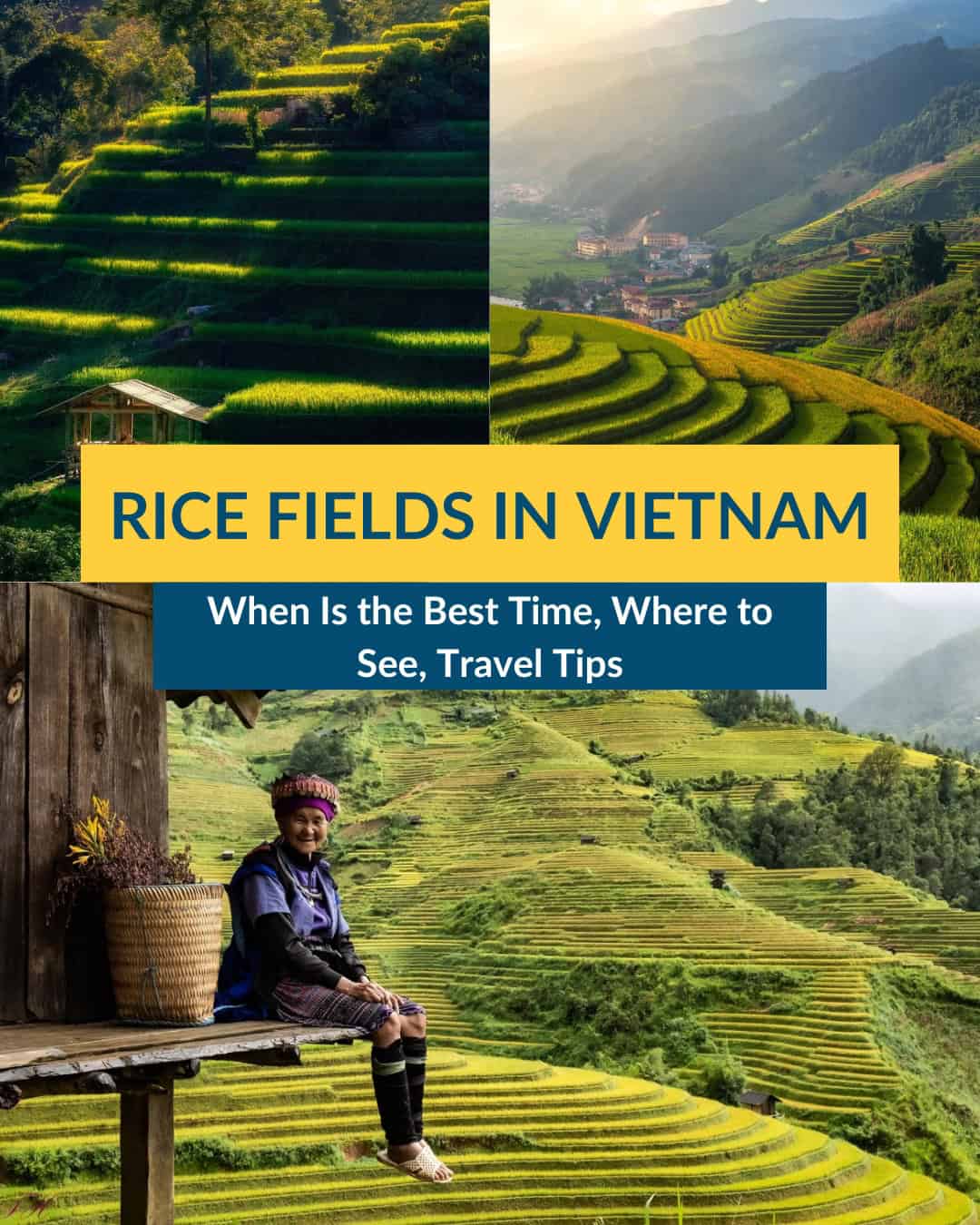 where to see rice fields in vietnam