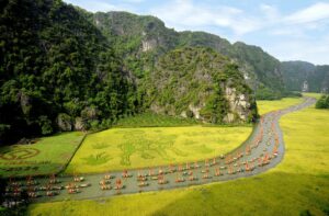 tam coc