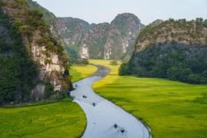 tam coc