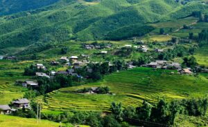 ta van sapa