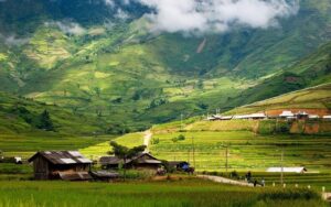 sin chai sapa