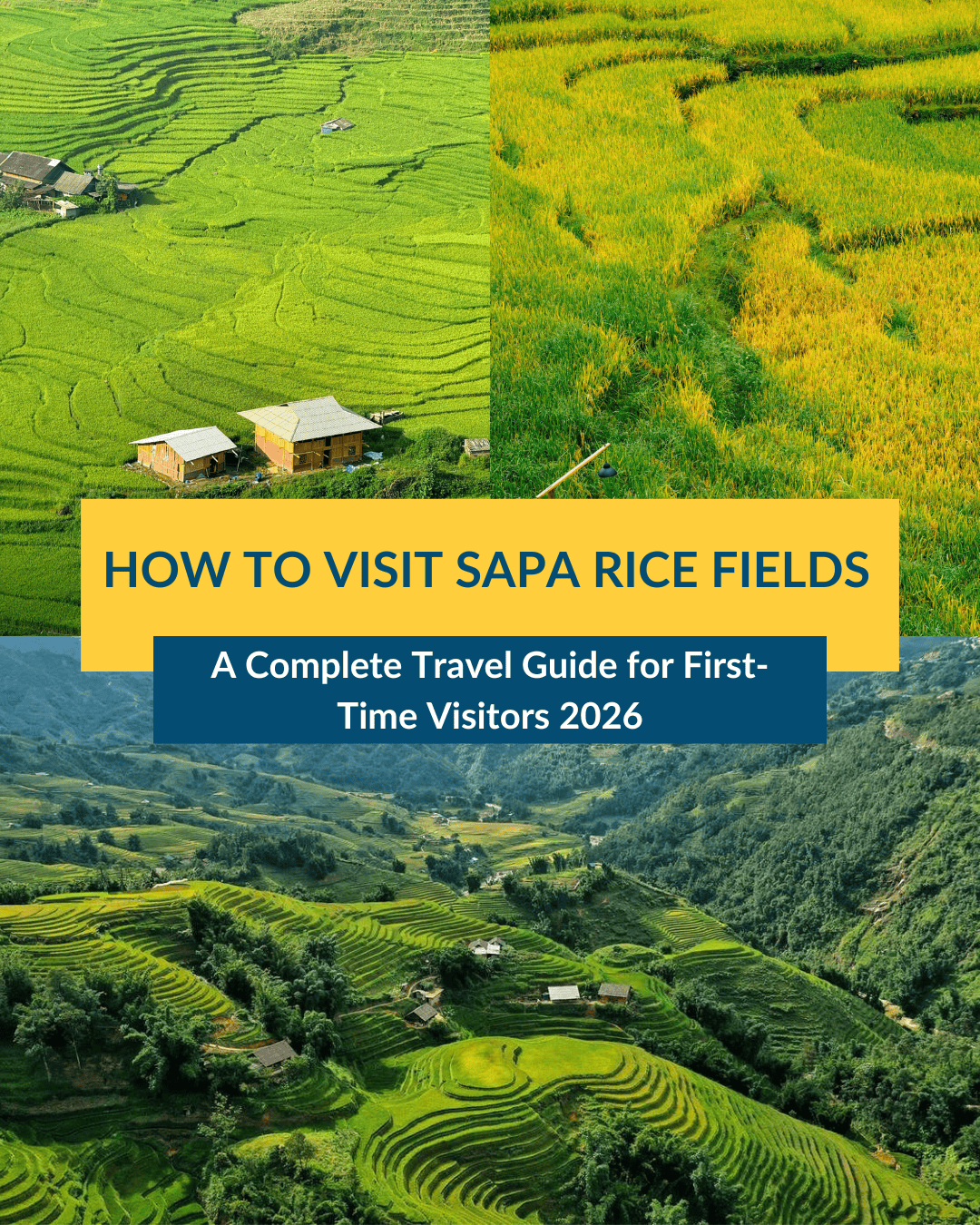 how to visit sapa rice fields